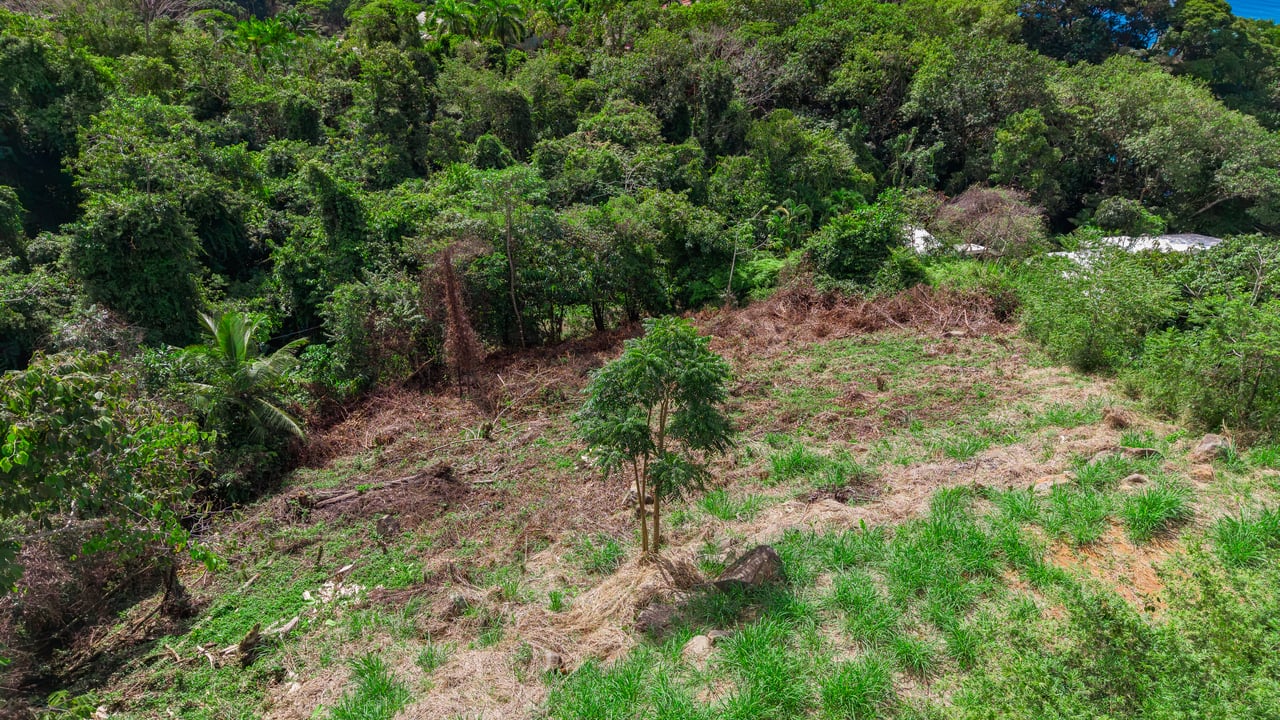 Luxury Ocean View Homesite in Escaleras Playa Dominical