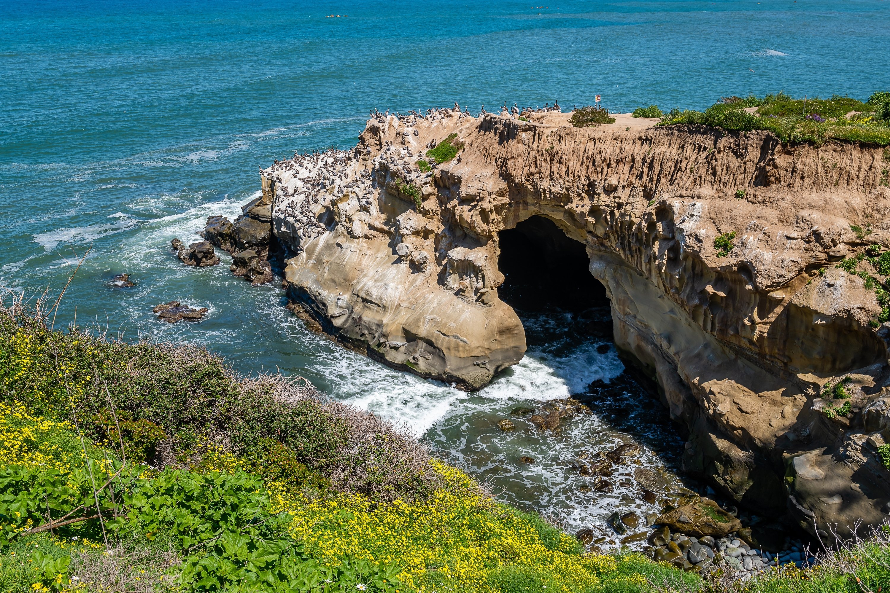 Bird Rock La Jolla neighborhood homes