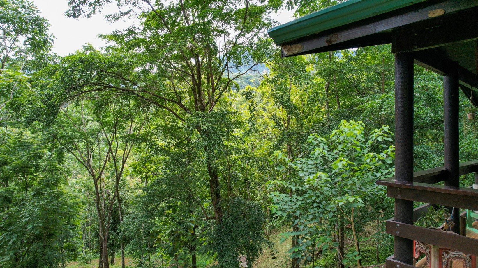 Mountain Chalet on 6.3 Acres with Stables & Panoramic Views