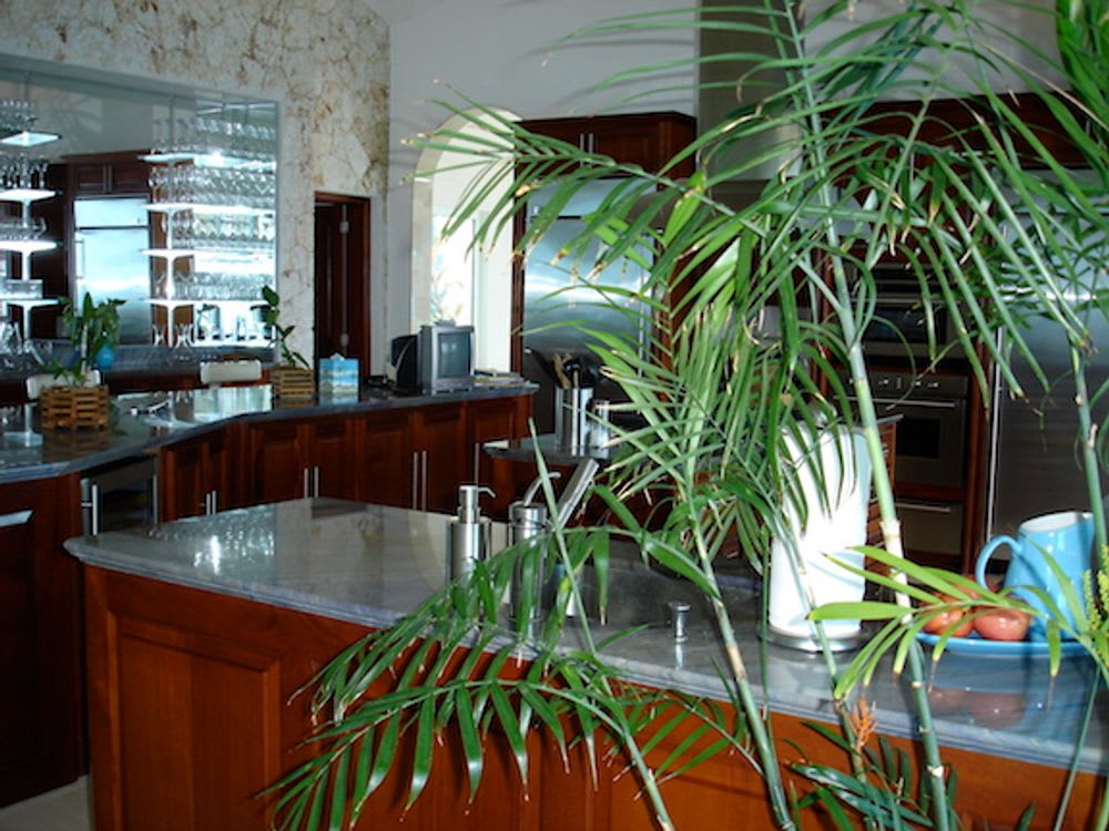 Desert Rose  - In Receivership