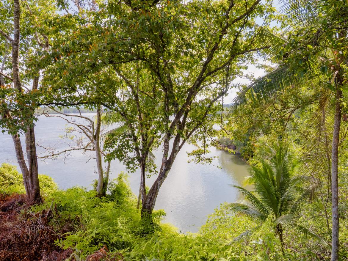 247 Acres of Riverfront Rainforest with Hospitality Potential - Sarangundí Eco-Development Sanctuary Near Corcovado