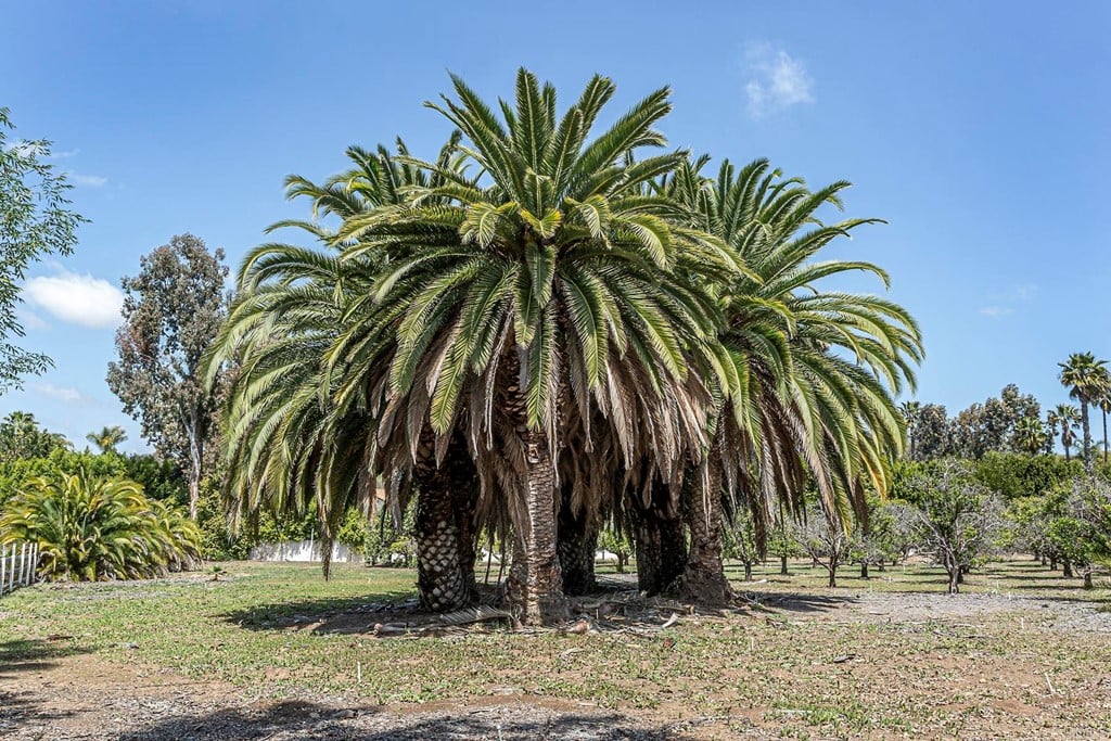 6944 Rancho Cielo