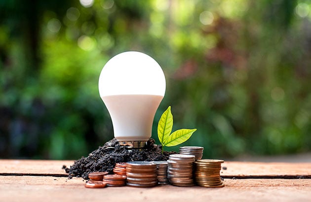 Go Greener at Home