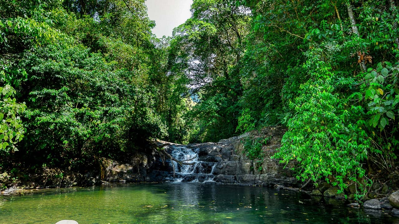 Whale Tail Views Luxury Waterfall Farm