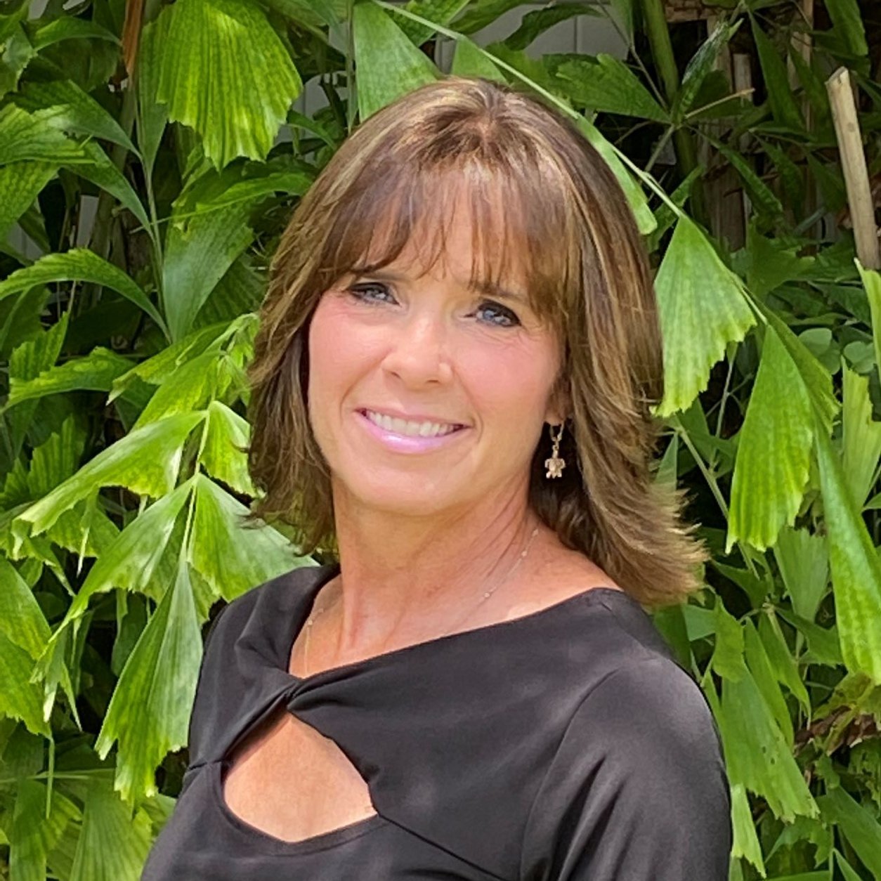 Lisa Frins, P.A.