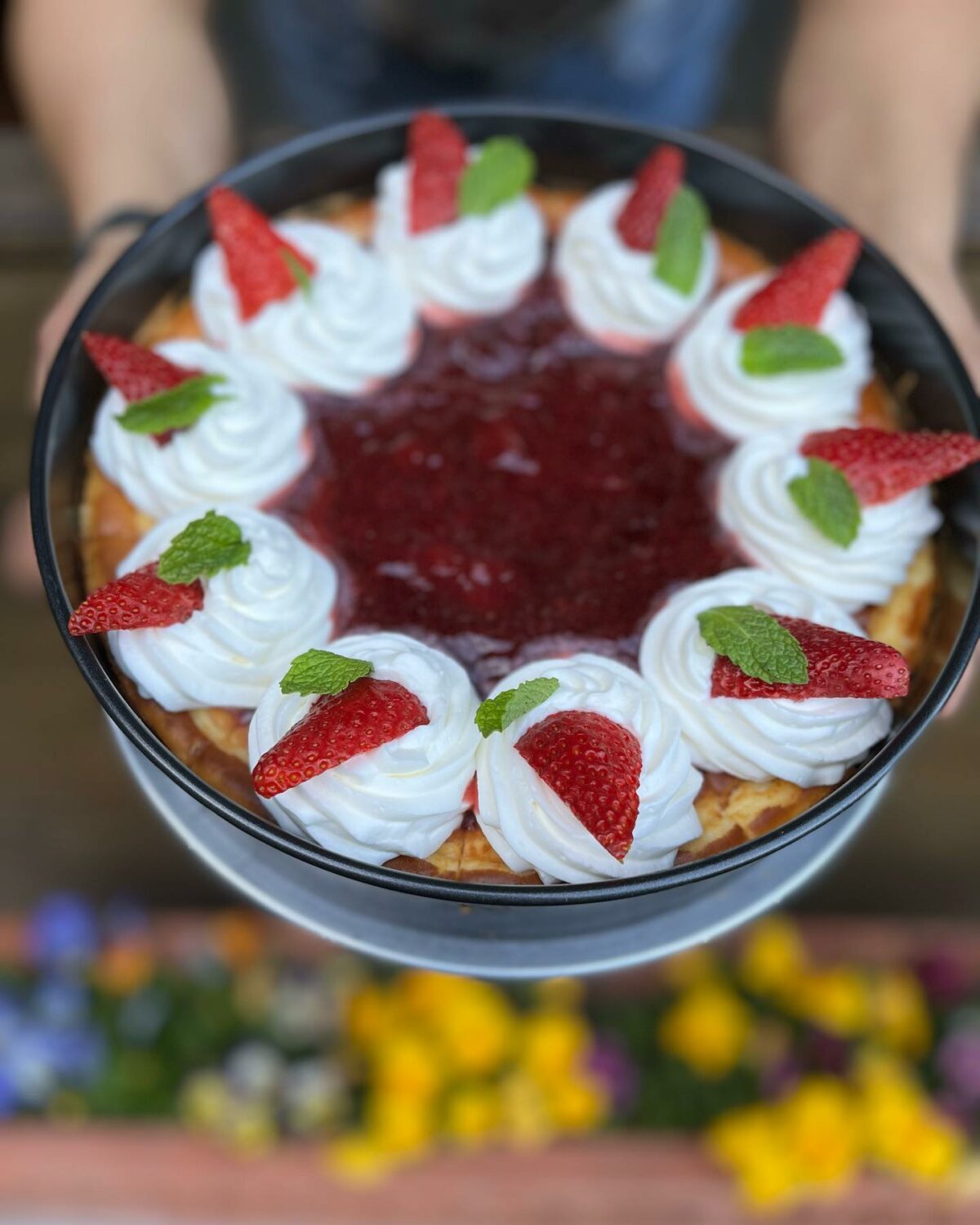 Where to Find the Best Cheesecakes in Sonoma County