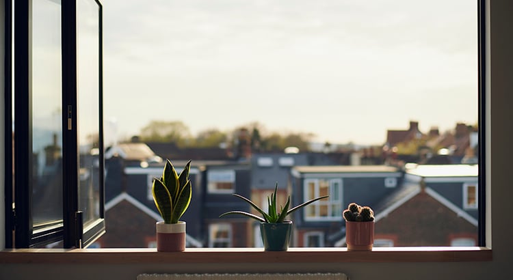 Could a Move Bring Your More Happiness?