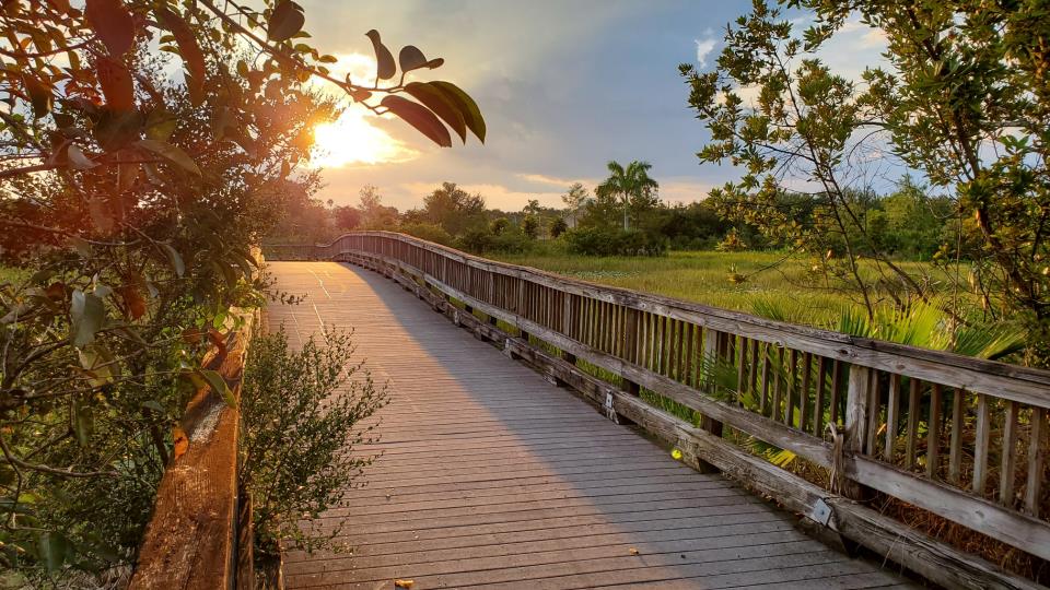 Sunset view of the wooden boardwalk trail at Plantation Preserve in Plantation, Florida.