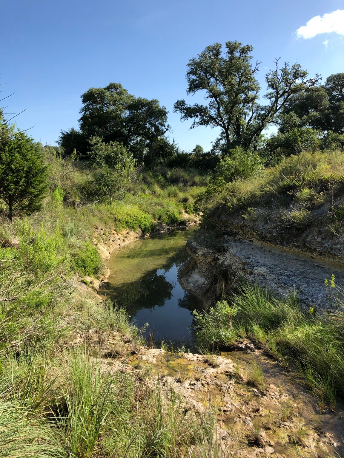 100 Dario Dr. Dripping Springs  Tx 78620