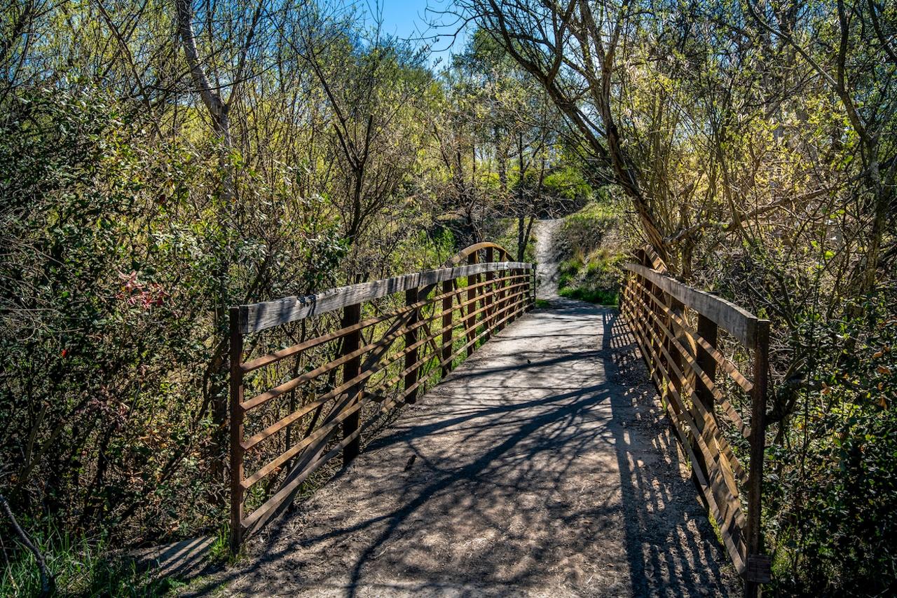 Twin Creeks San Ramon Neighborhood Guide: West Side Living, Parks, Dining & Homes