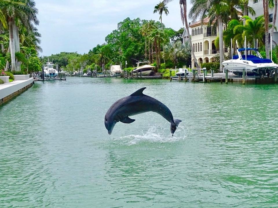 Vacation rental home on Siesta Key 
