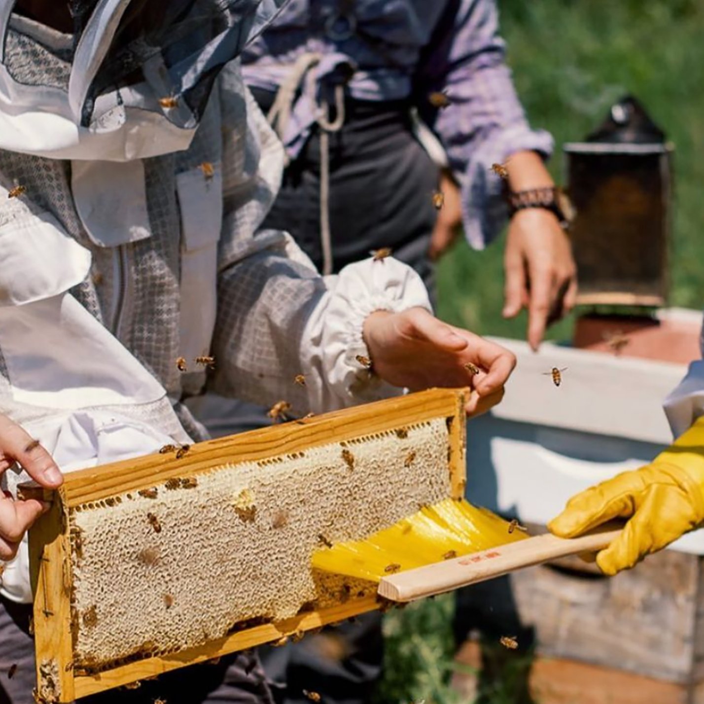 People toasting with wine glasses