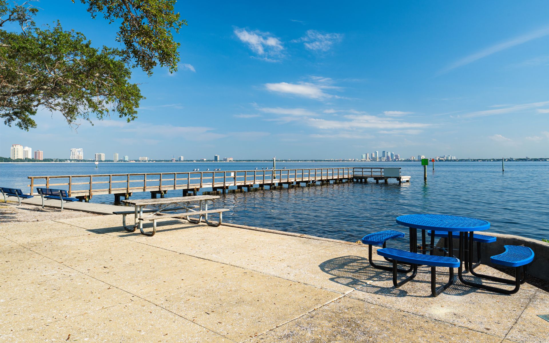 South Tampa Living