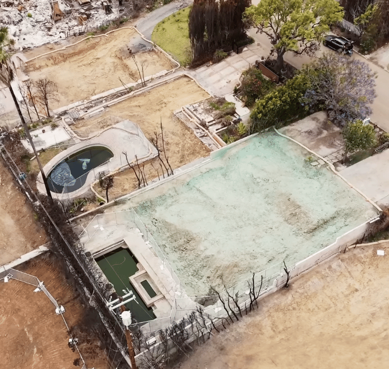What’s That Green Stuff on Cleared Lots?
