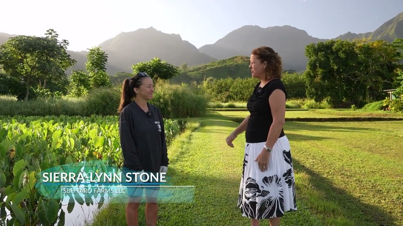 Episode 3 - Hanalei with SBH Taro Farms