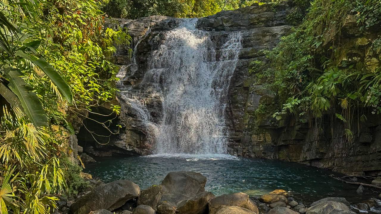 Whale Tail Views Luxury Waterfall Farm
