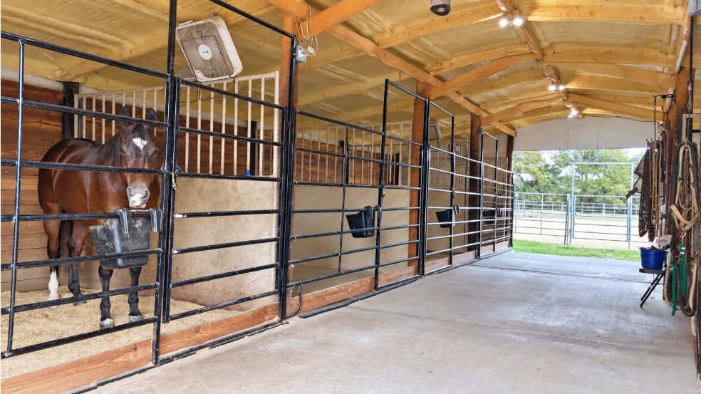 16515 N US HWY, Hico, TX 76457 | Horse Property
