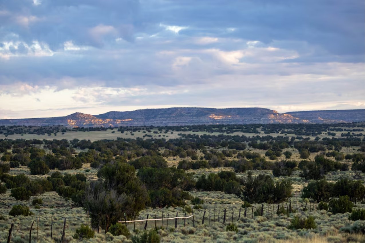 D-FW real estate giants sell one of country’s largest ranches, last priced at $115M