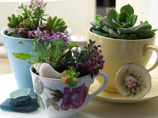 Bring Nature In!