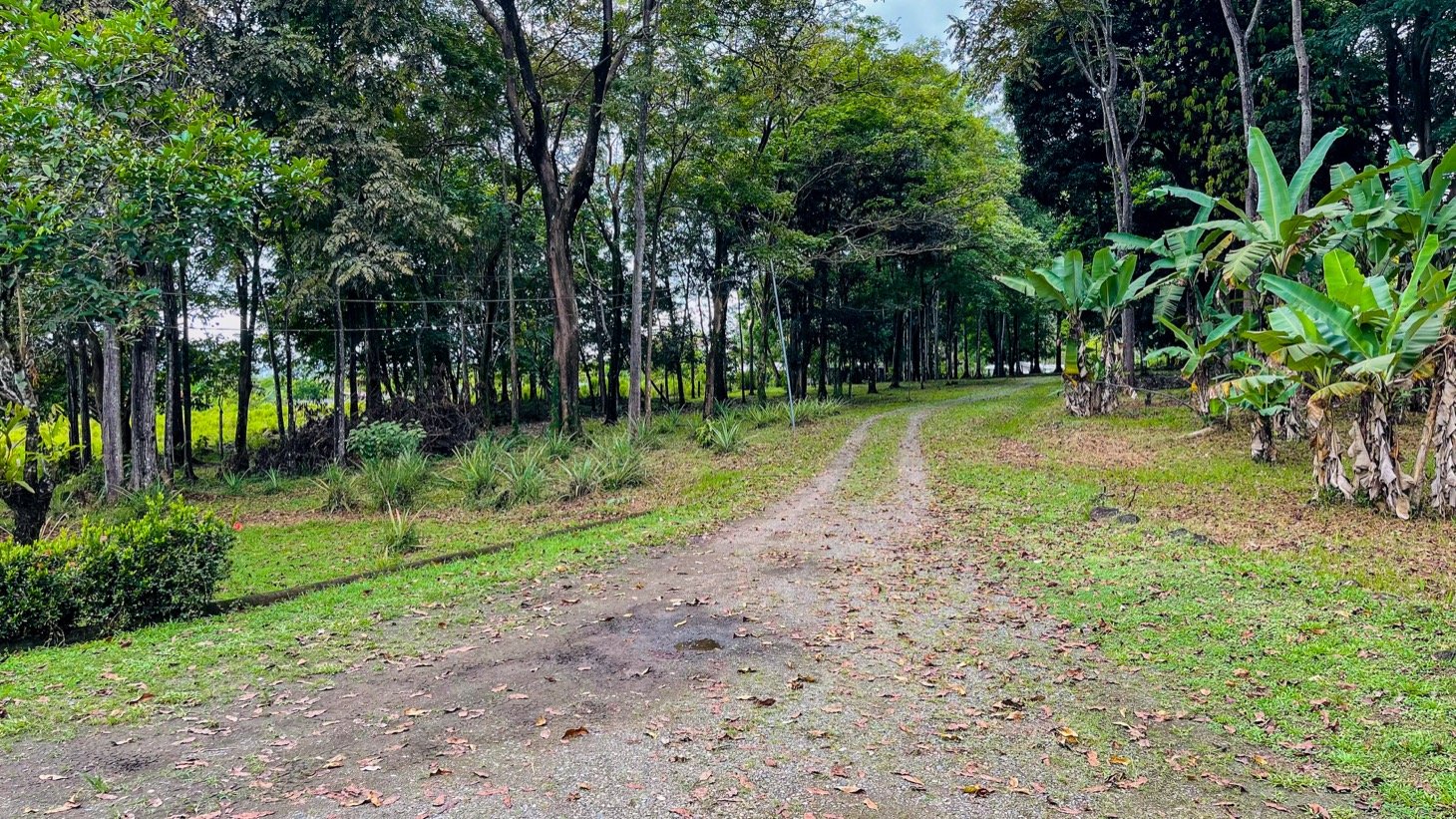 House for Sale in Ojochal, Costa Rica – Traditional Charm on 2.75 Acres