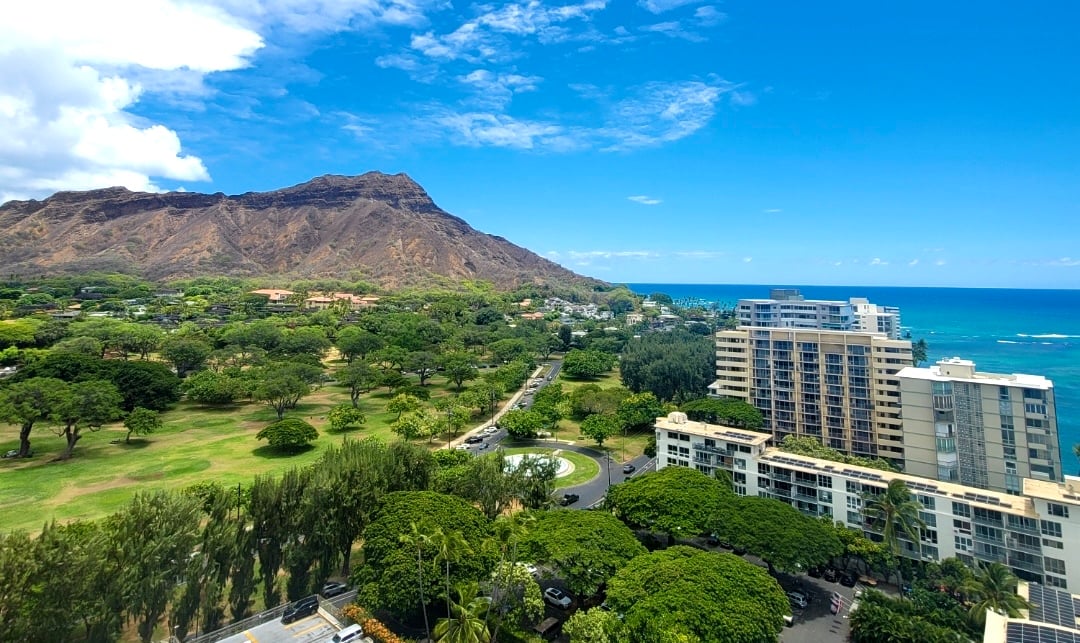 Colony Surf – Gold Coast Honolulu