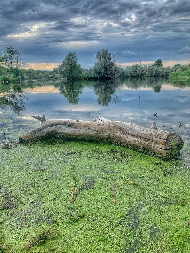 Fountain Creek Nature Center: A Must-Visit Outdoor Escape Near Colorado Springs