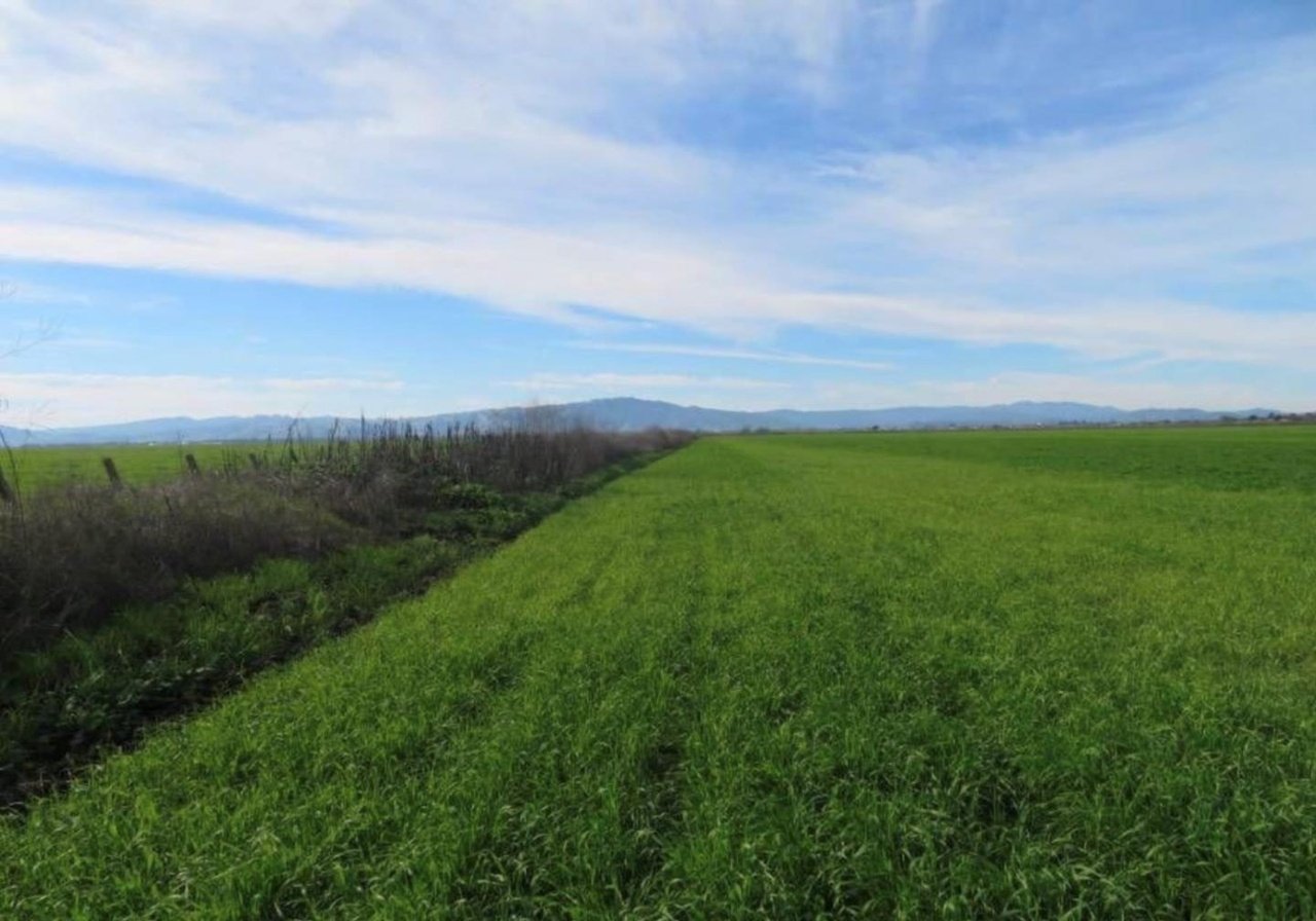 4790 Pacheco Pass Hwy