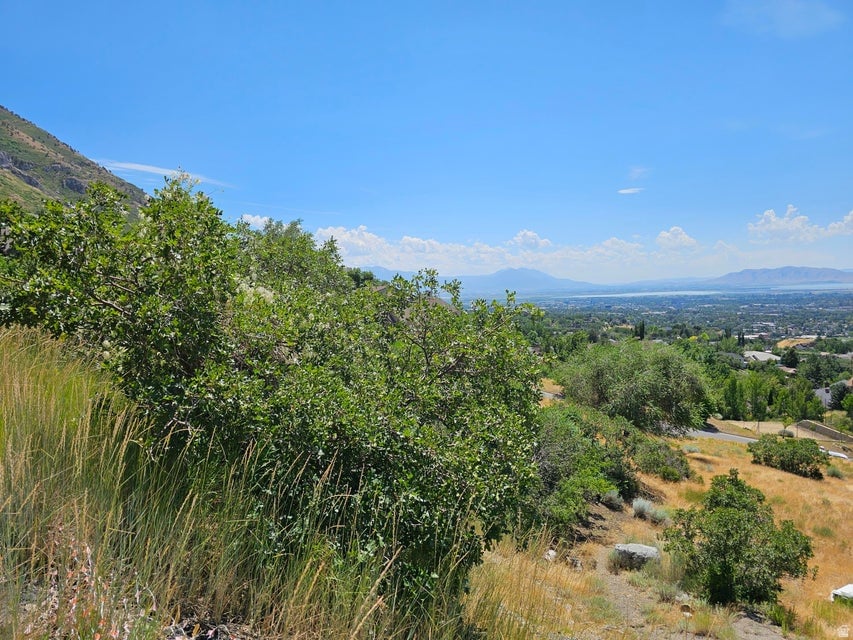 4457 Mile High Dr