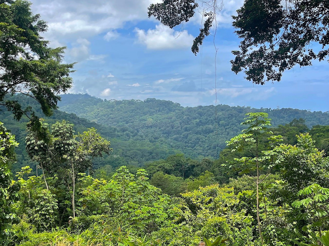 UVITA LAND WITH MULTIPLE BUILDING PADS – 25 ACRES