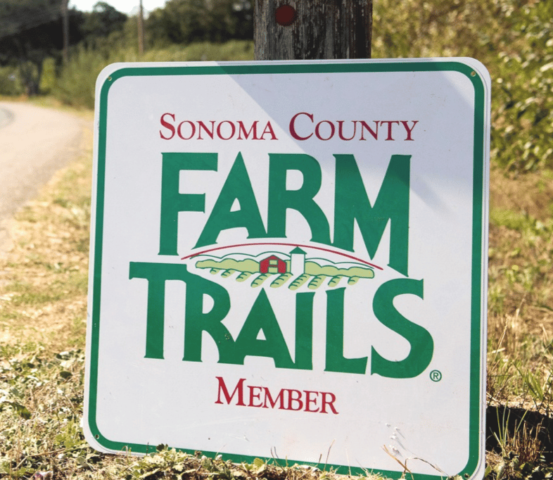 Fall Farm Trails