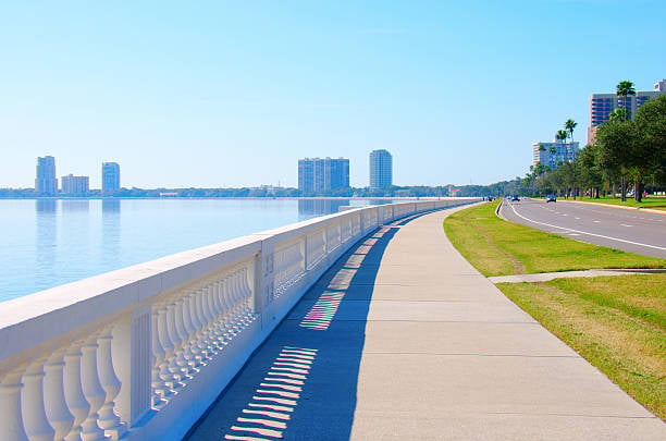 South Tampa