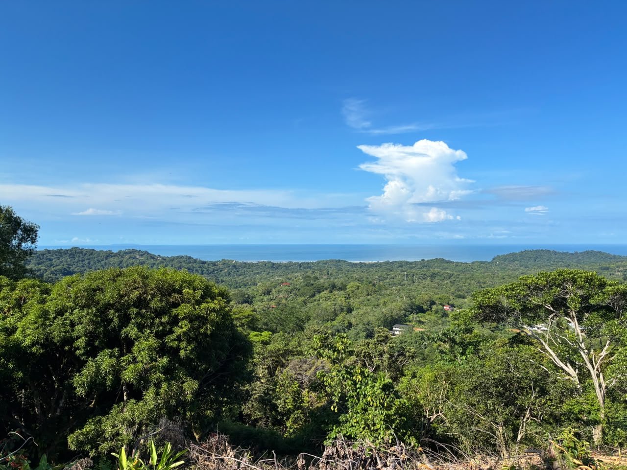 Spectacular Ocean View Lot in Ojochal Phase 9