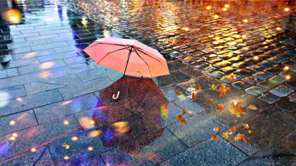 Pink umbrella on wet pavement reflecting colorful lights beside autumn leaves.