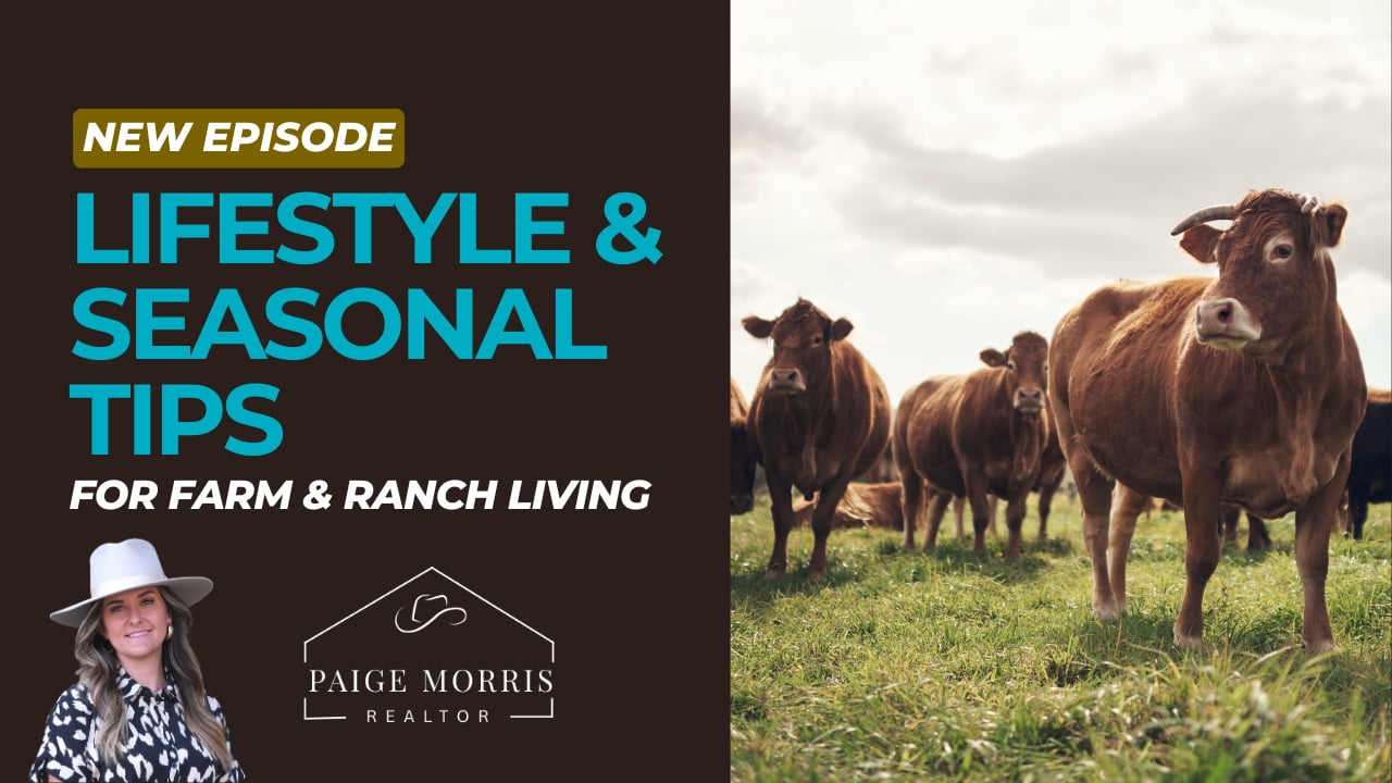 Fall Lifestyle and Seasonal Update