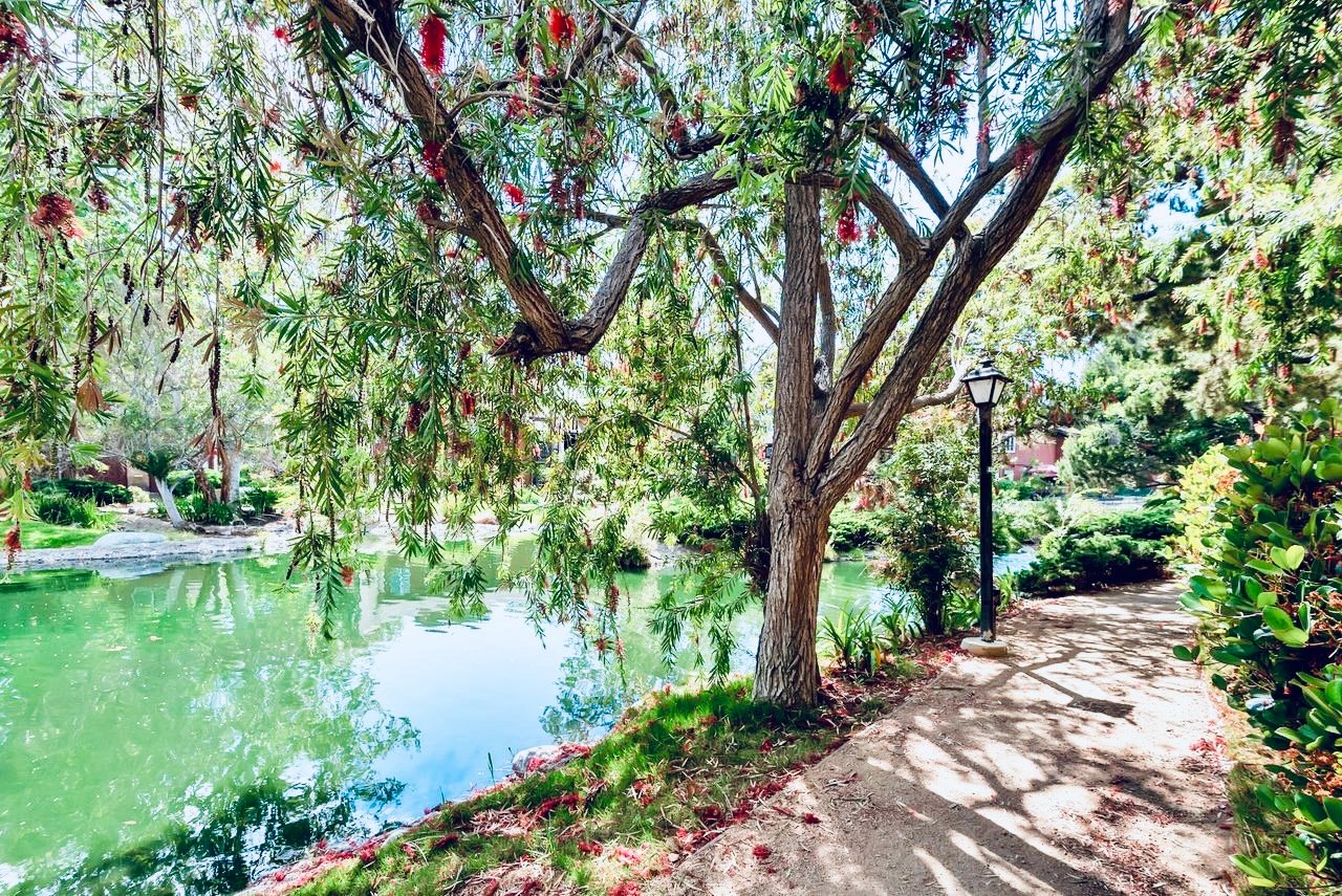 9314 Summertime Lane