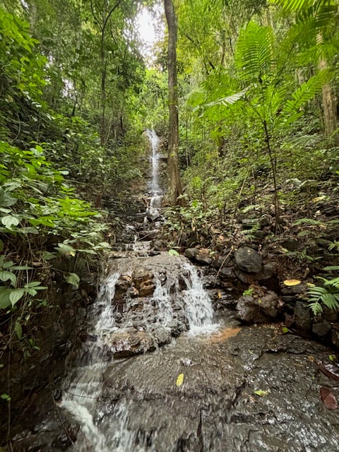 17.85 ACRES – Stunning Large Land With 2 Waterfalls Near Dominical Beach!!!