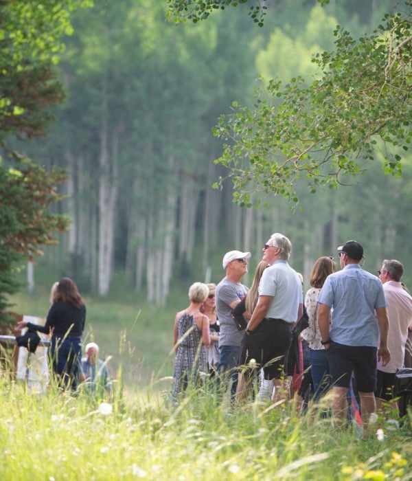 Music in the Meadows