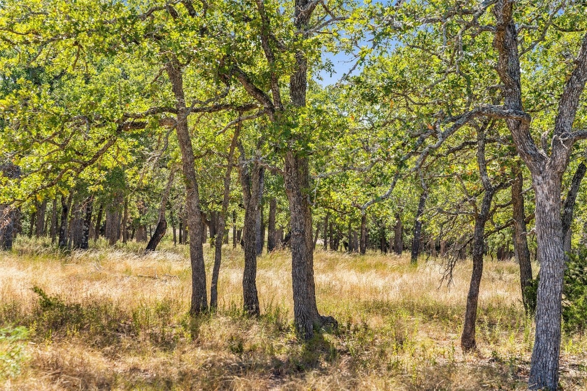 18.145 Acres Herber-schaefer Rd