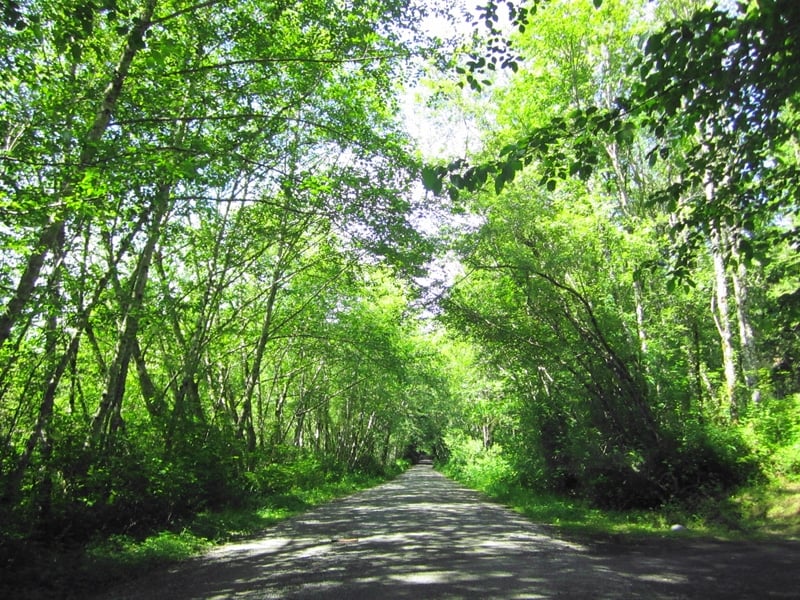Deer Run
