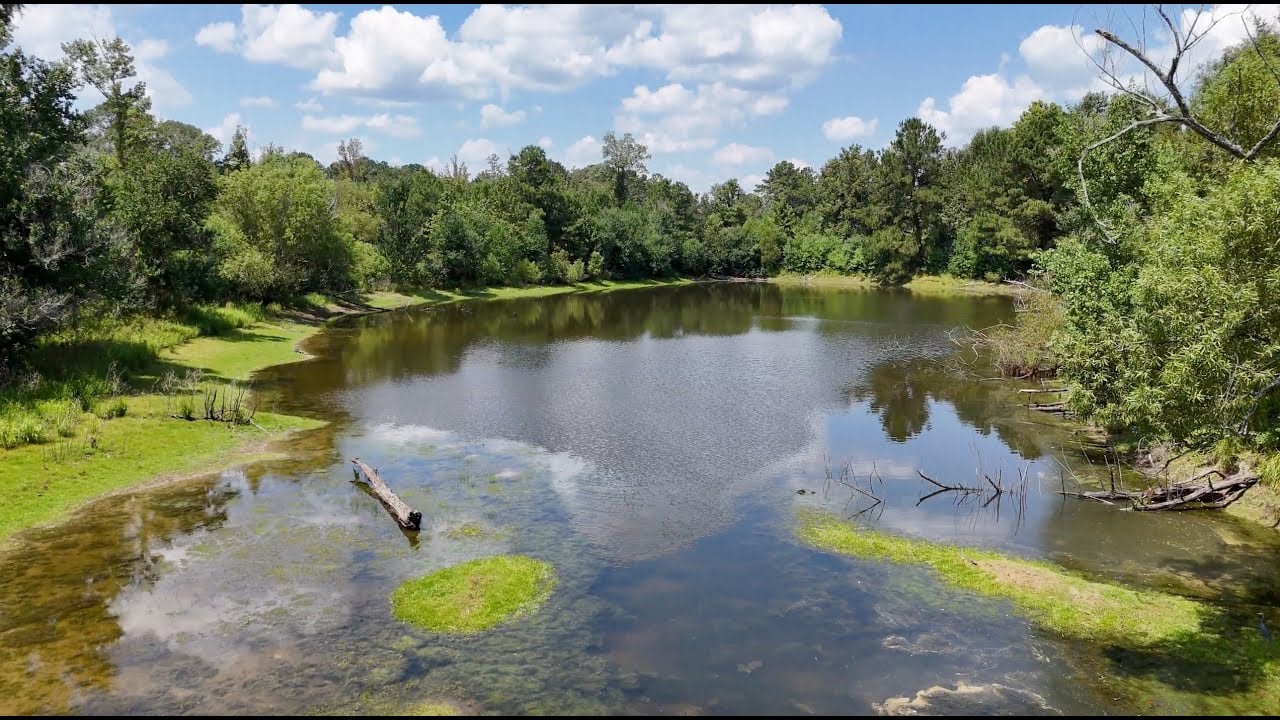 134.1 Acres of Hunting Land in Amite County, MS!