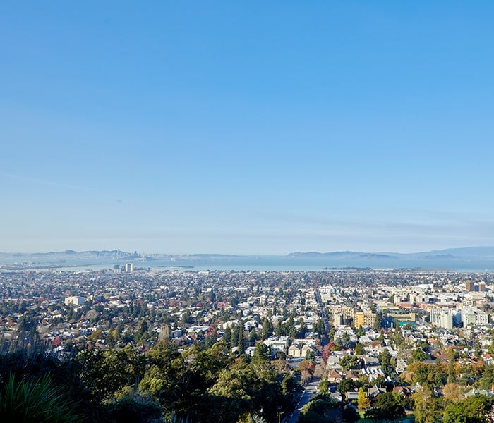 Panoramic Hill