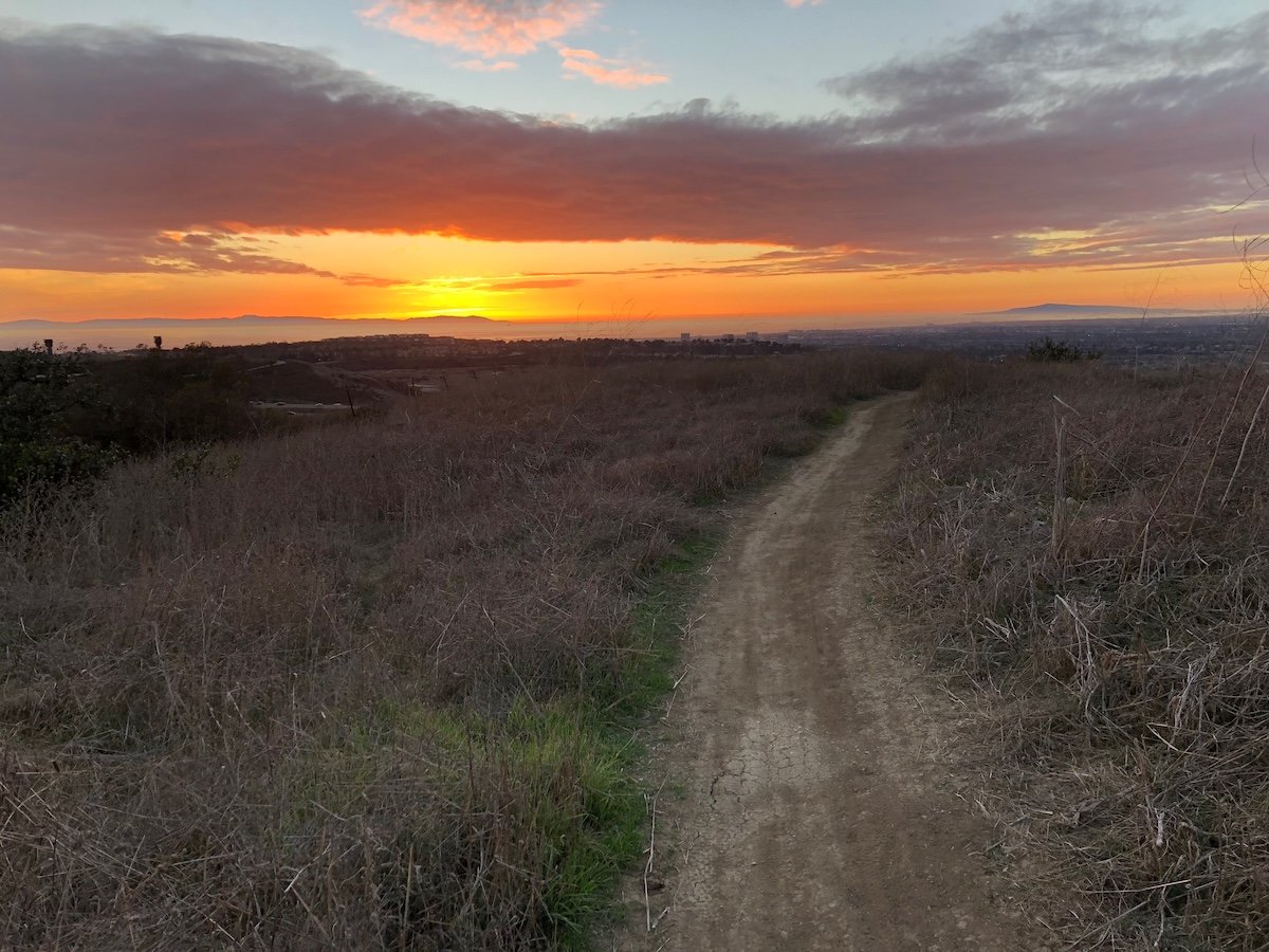 Quail Hill's Trailhead Is the Easy Part. The Real Preserve Opens One Saturday a Month.