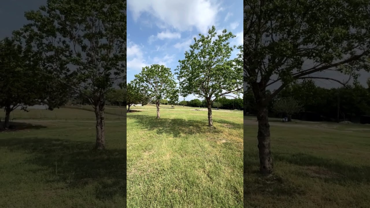 Rare South Austin Land Opportunity – No Restrictions, No Limits