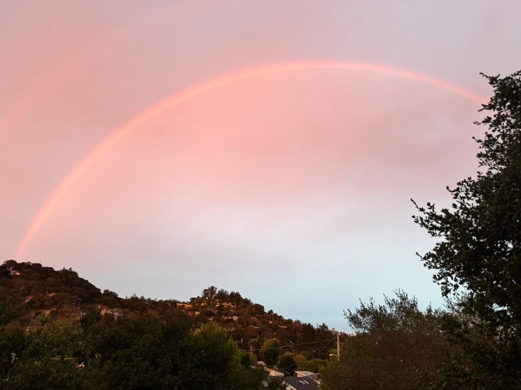 View in Sun Valley Park, San Rafael, surrounded by trees and hills at sunrise, real estate market news.