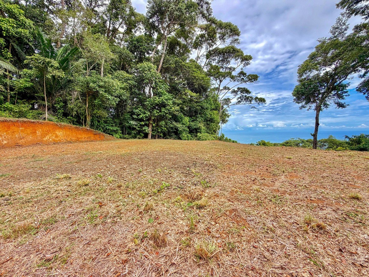 1.3 ACRES- Spectacular Ocean View Estate Lot in Lagunas de Barú, Dominical, 15min to Beaches!!!