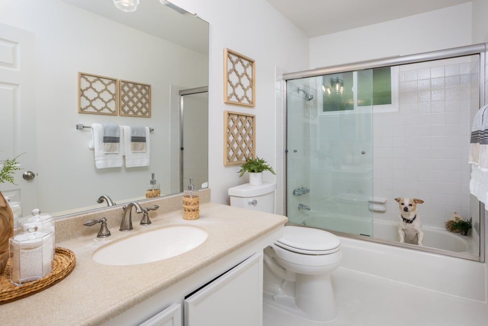 5524 Guadalupe Ct