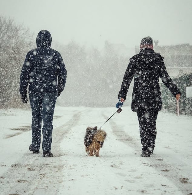 Prepare Your Home for Winter ASAP 