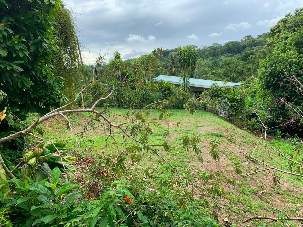 Affordable Lot in Uvita, Las Brisas
