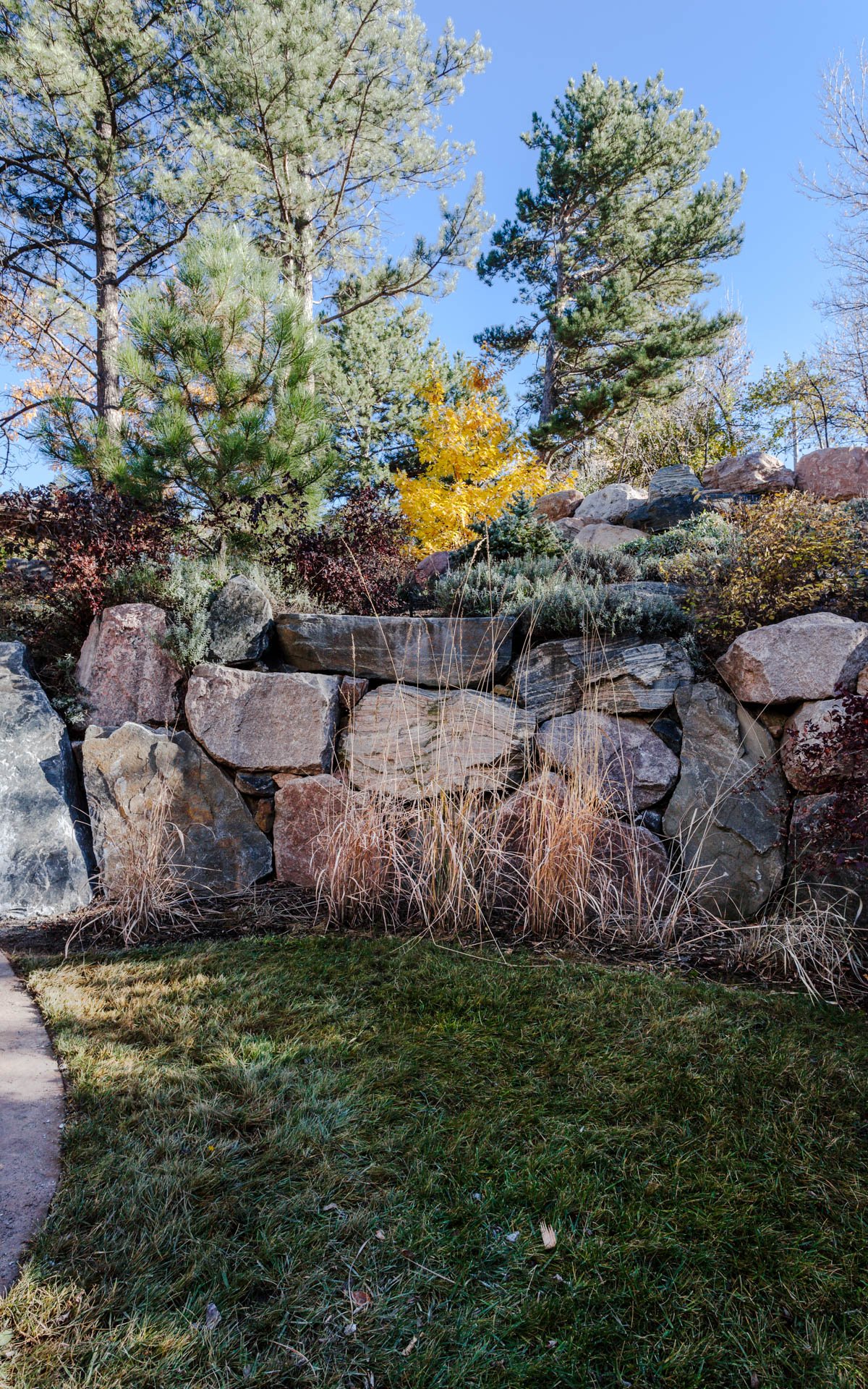 437 University Avenue