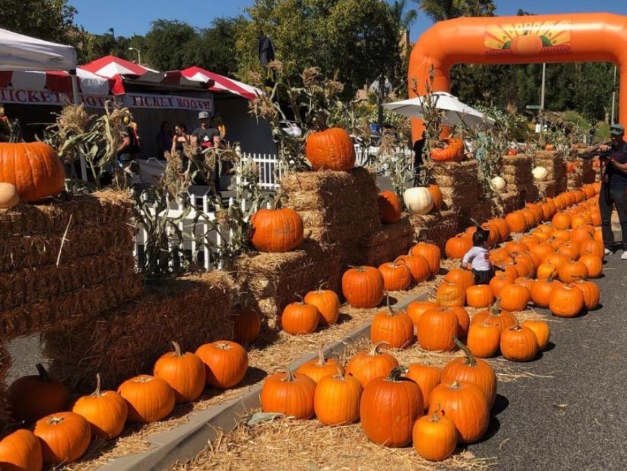 Calabasas Pumpkin Festival 2026: A Local's Guide to This Sunday's Celebration cover